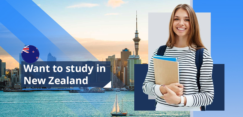 study in NEW ZEALAND